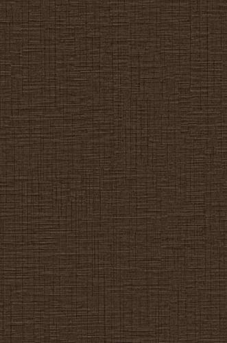 2552 Brown linen fabric